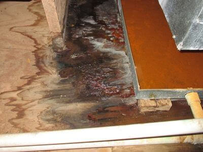 About StreamMint Crew - water damage restoration experts in Santa Clarita